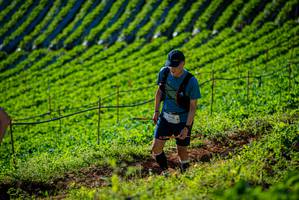 BIB: 
                            <button type="button" onclick="openModal(19160628)" class="btn btn-primary btn-sm float-right btn-popup" data-toggle="modal" data-target=".modal-high-quality">
                        <i class="fas fa-shopping-cart"></i> Add to Cart
                    </button>
                                            <button type="button" onclick="isThisMe(19160628, true)" class="btn btn-success btn-sm float-right btn-popup btn-isme hidden" data-toggle="tooltip" data-placement="bottom" title="นี่คือรูปของคุณใช่ไหม คลิกที่นี่เพื่อเอาเข้าอัลบั้ม">
                        <i class="fas fa-plus"></i> Add to album
                    </button>
                    <button type="button" onclick="isThisMe(19160628, false)" class="btn btn-warning btn-sm float-right btn-popup btn-isnotme hidden">
                        <i class="fas fa-ban"></i> Remove from album
                    </button>